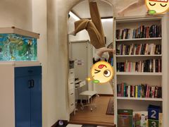 -槟城颠倒博物馆