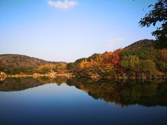 -白马涧龙池景区