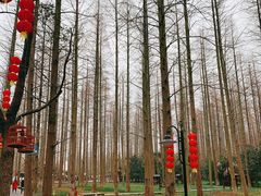-东平国家森林公园