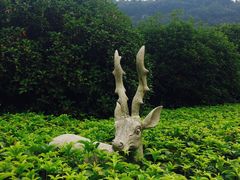 -张家界青和锦江国际酒店