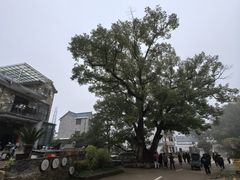-清漾毛氏文化村