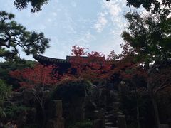 -个园