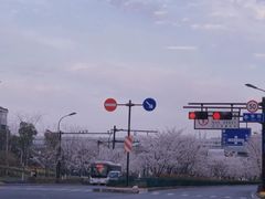 -雅鲁激流探险漂流