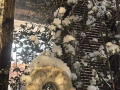 -斯多格书乡(北京大学畅春园店)