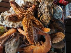 -第35届青岛国际啤酒节