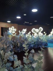 -雅奇婚庆(永乐园社区店)