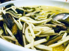 -外滩1288花园丽舍