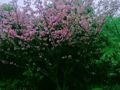 -九龙潭景区
