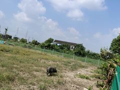-菊园百果园
