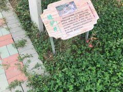 景点-晶宝温泉农庄