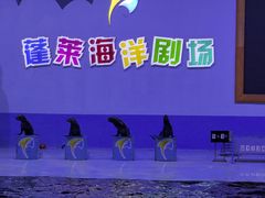 -蓬莱欧乐堡海洋极地世界