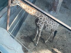 -鄂尔多斯野生动物园