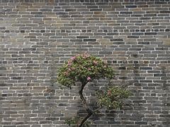 -九龙寨城公园