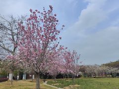 -盈香心动乐园