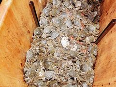 -初色海鲜自助(万丰路店)