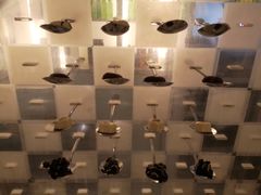 -亮马河饭店翠雅咖啡厅