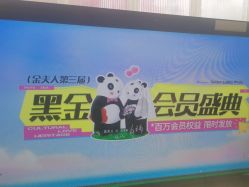 -金夫人婚纱摄影(总店)