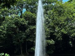 -九龙公园