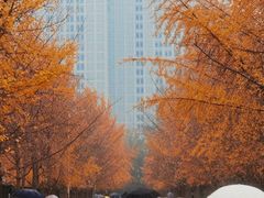 -辽宁大学(崇山校区)