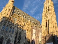 -斯蒂芬主教座堂(Stephansdom)