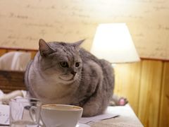 -隅cafe(傅厚岗店)