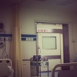 -复旦大学附属妇产科医院(杨浦院区)