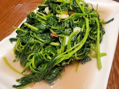 番茄炒小米菜-老滇山寨•云南特色菜•地方菜•民族风情歌舞表演(金碧店)