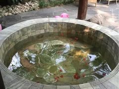 -西安国际创新人才交流中心•药浴温泉