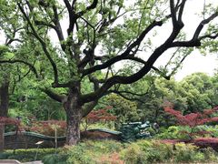 -申粤轩酒楼·三十年粤菜经典(丁香花园店)
