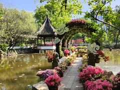 -上海醉白池公园
