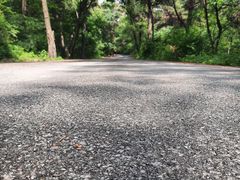 -沈阳辉山风景区