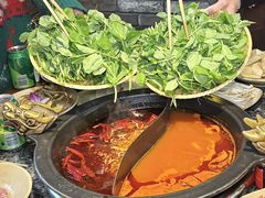-蜀大侠火锅(总府路店)