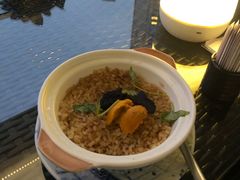 黑松露海胆焗饭-田舍家Inakaya(天汇igc店)