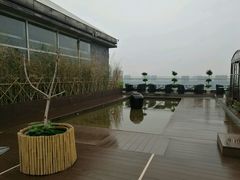 -梧桐餐厅(泉城路店)