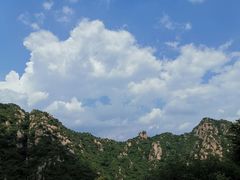 -大岭沟猕猴桃谷风景区