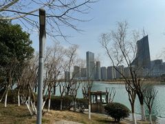 -天鹅湖体育公园