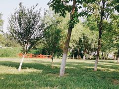 -天津武清北运河郊野公园房车露营地