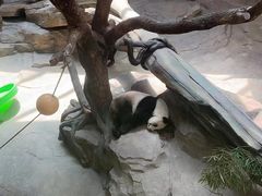 -宁波野生动物园
