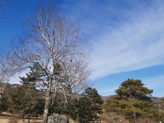 -北京植物园-展览温室