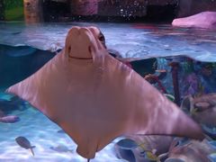 -沈阳海洋探索中心