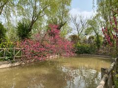 -南汇桃花村