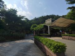 -广州白江湖森林公园