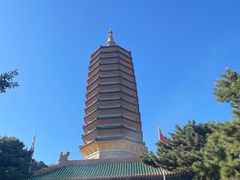 -八大处公园