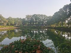 -金银湖国家城市湿地公园