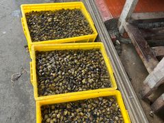 -红旗山庄(圭峰山店)