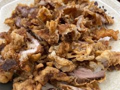 炸酥肉-沈卫国卤鸡店(总店)