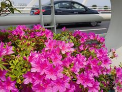 -万达广场(南京江宁店)