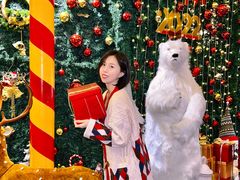 -常州武进九洲喜来登酒店