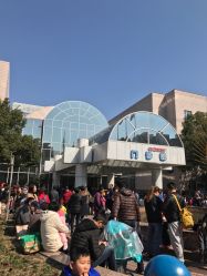 -上海交通大学医学院附属上海儿童医学中心(陆家嘴总院区)