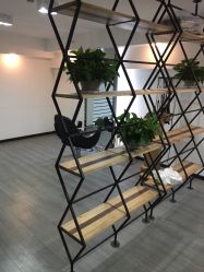 -青禾造型&刺青